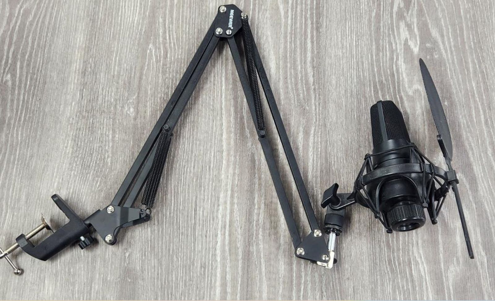 Se Electronics X1s Condenser MIC