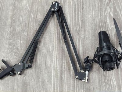 Se Electronics X1s Condenser MIC