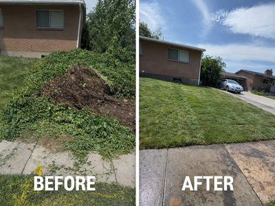 Landscape Design | Tree Planting | Sod Installation | Concrete Curbing | Pavers