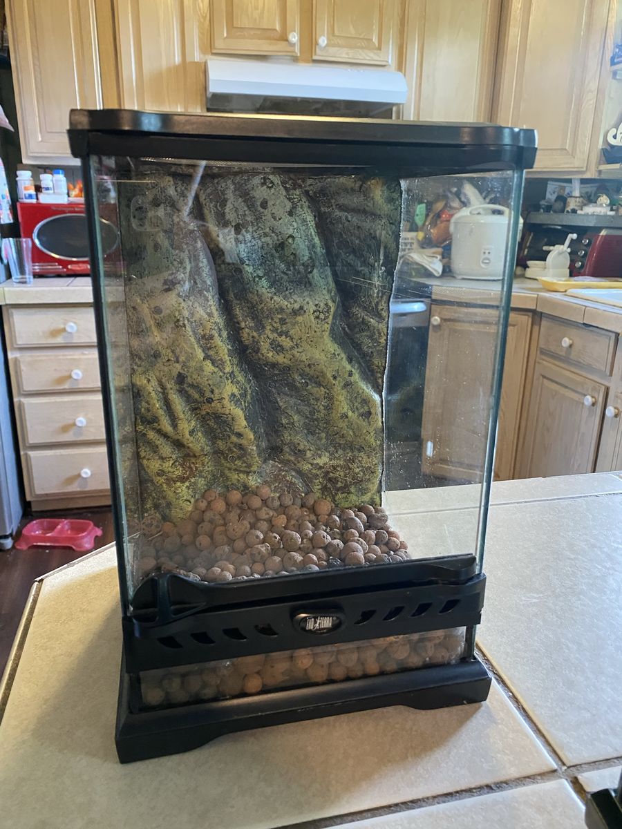 Exo Terra glass tank