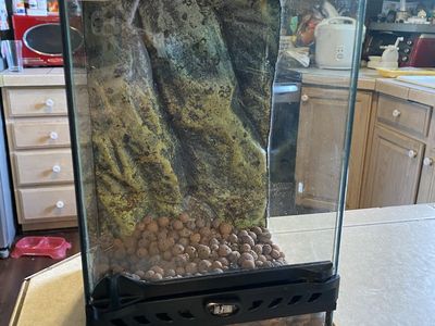 Exo Terra glass tank