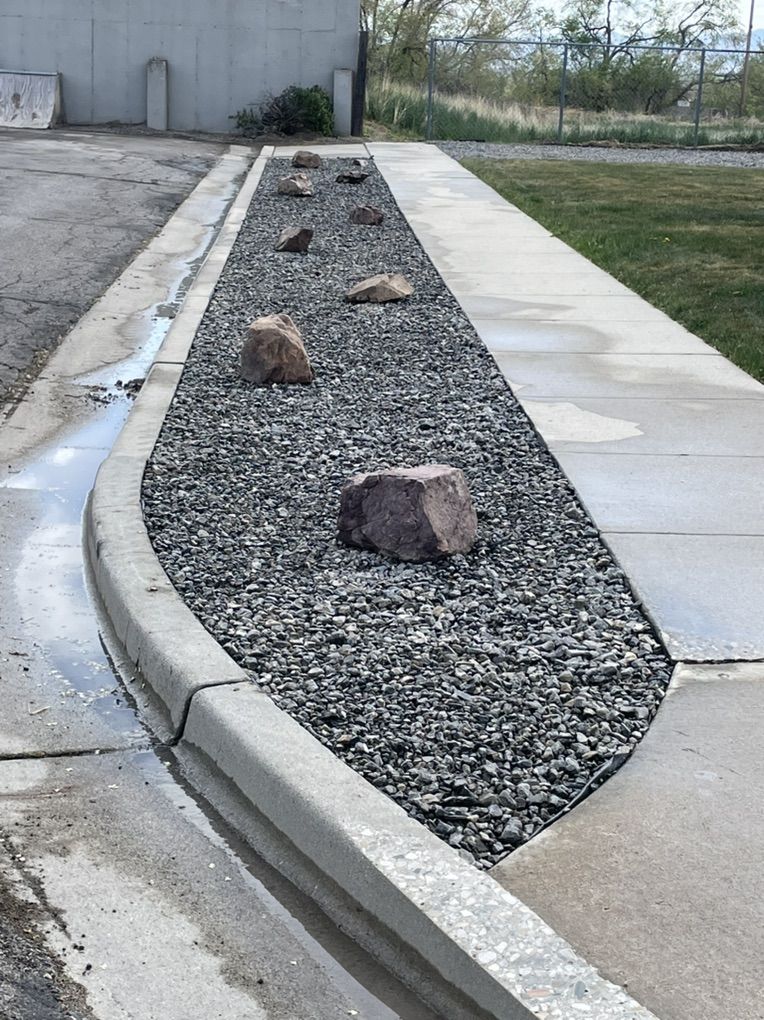 Skidsteer Work Trade/$$$