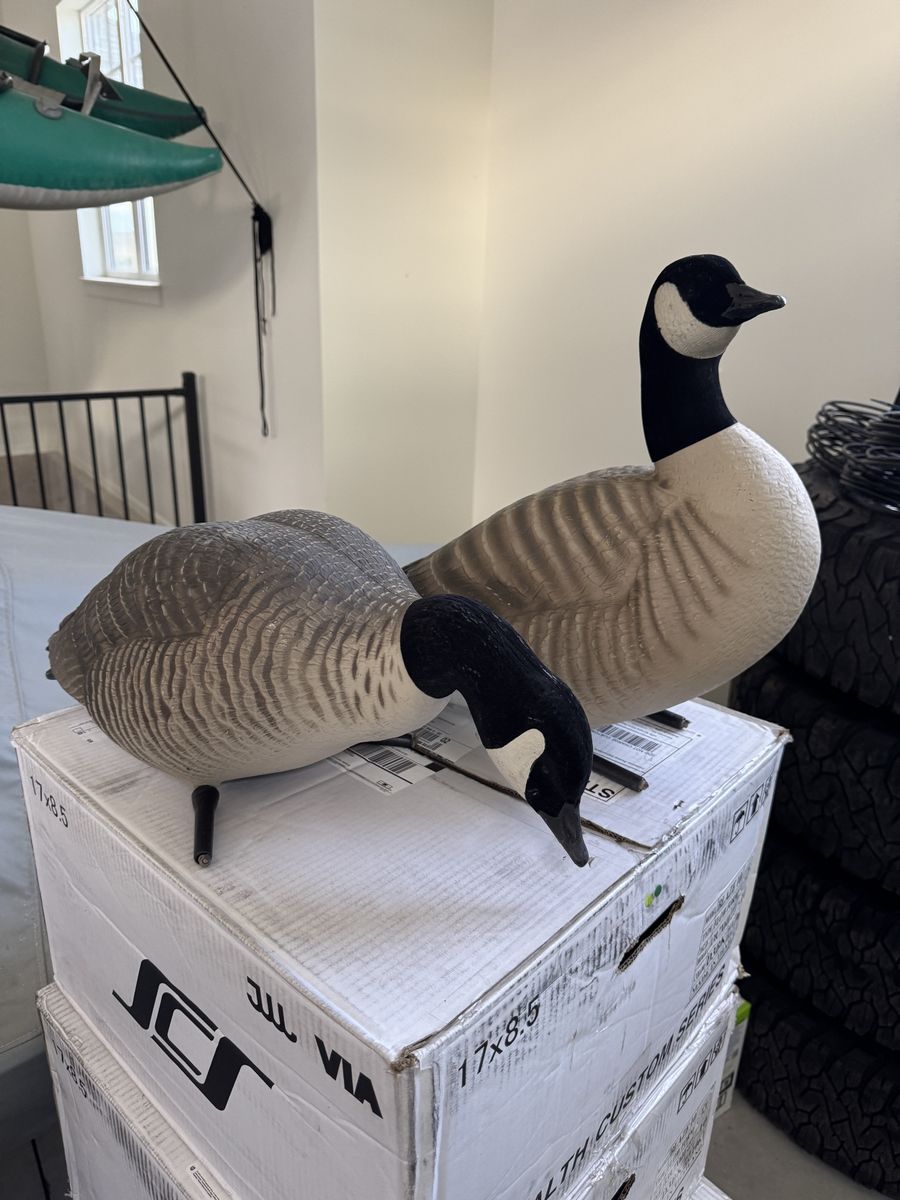 10 dozen GHG full body goose decoys in bags