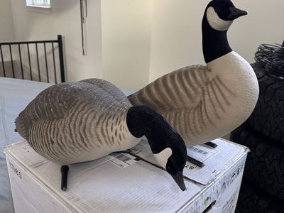 10 dozen GHG full body goose decoys in bags