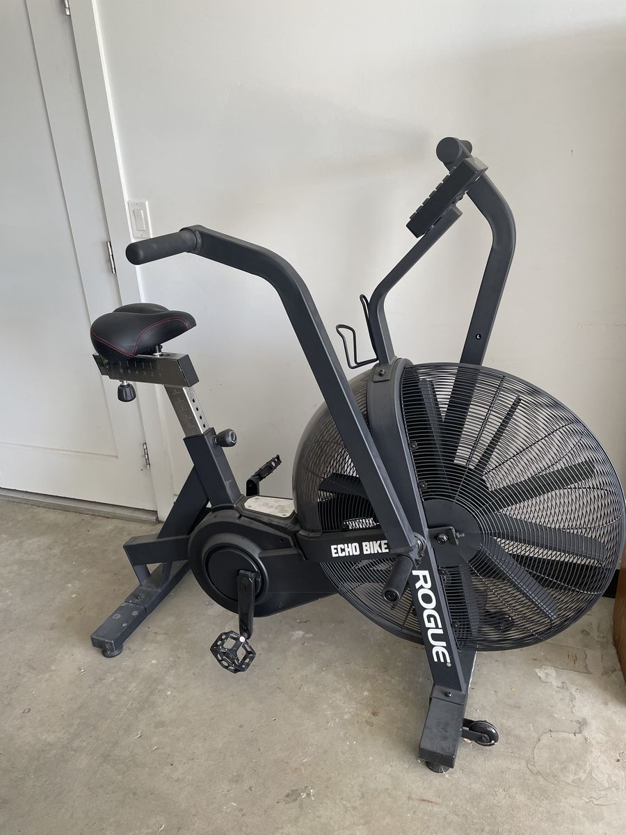 Rogue Echo Bike
