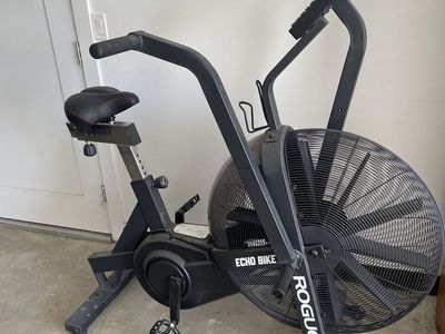 Rogue Echo Bike