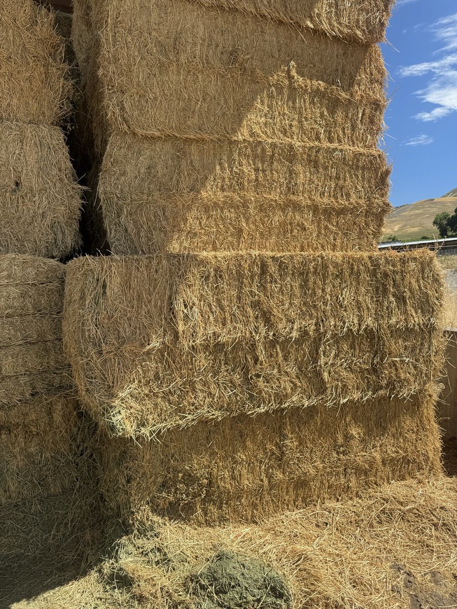 3x3 Stacked Bales of alfalfa hay