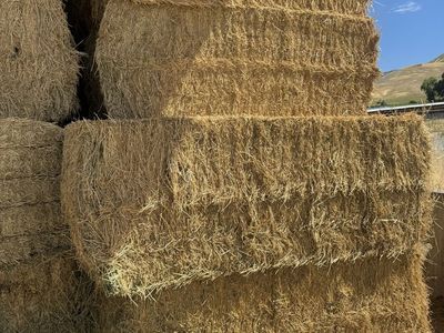 3x3 Stacked Bales of alfalfa hay