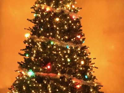 9ft Xmas Tree With Canvas Bag