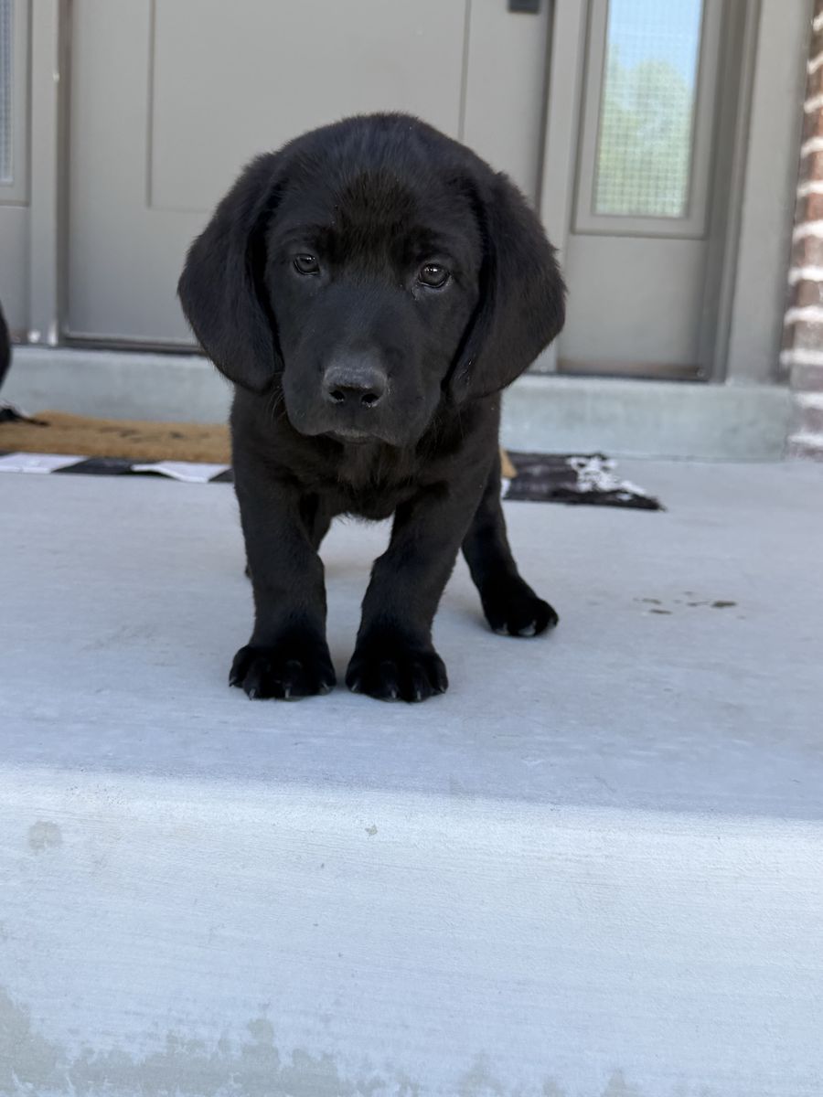 Main image 5