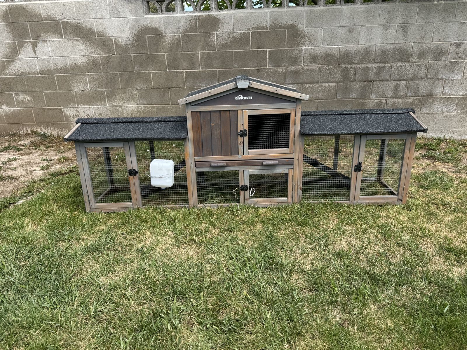 Bunny cage