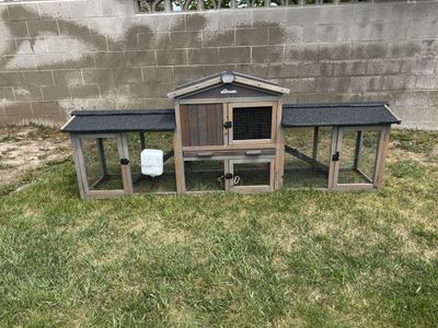Bunny cage