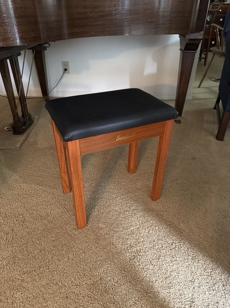 Electronic Keyboard: Piano Bench  $20.00