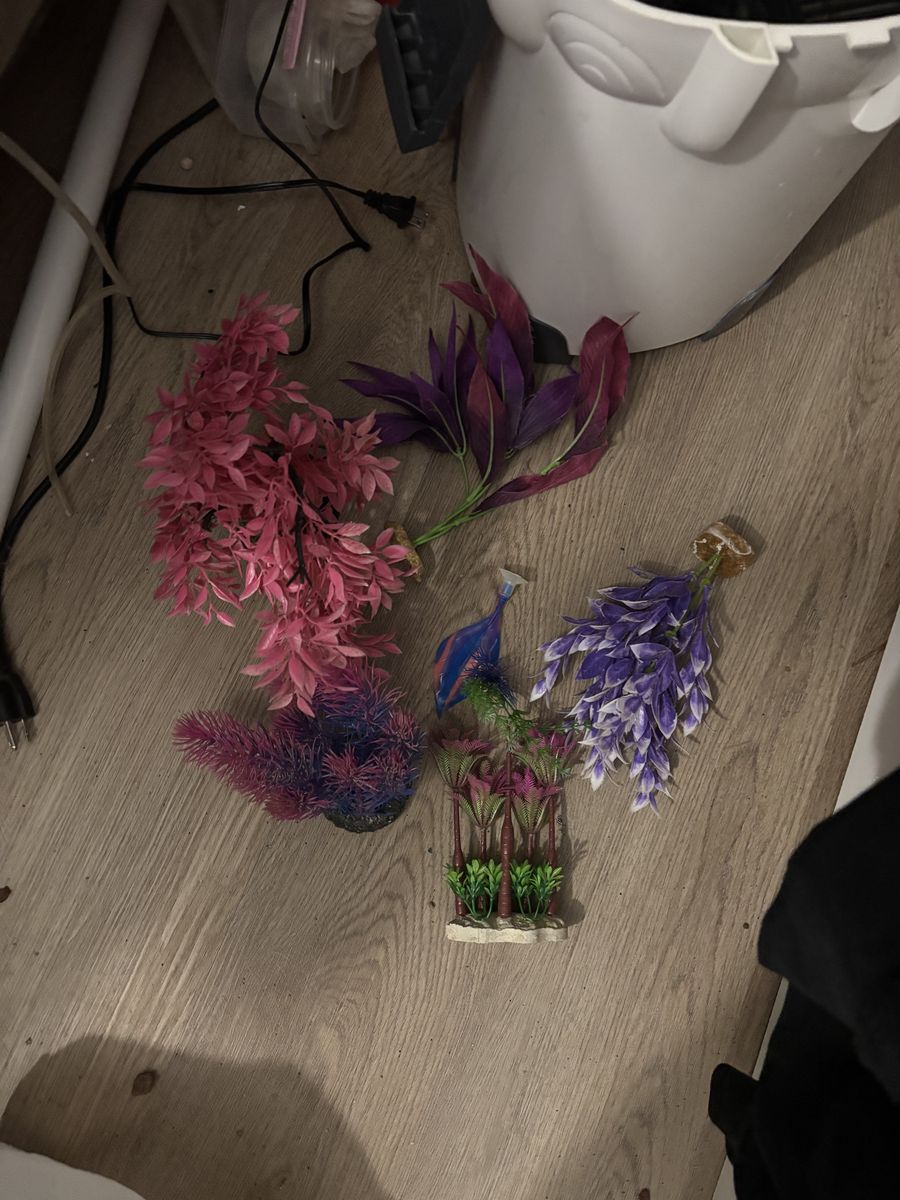 fake plants