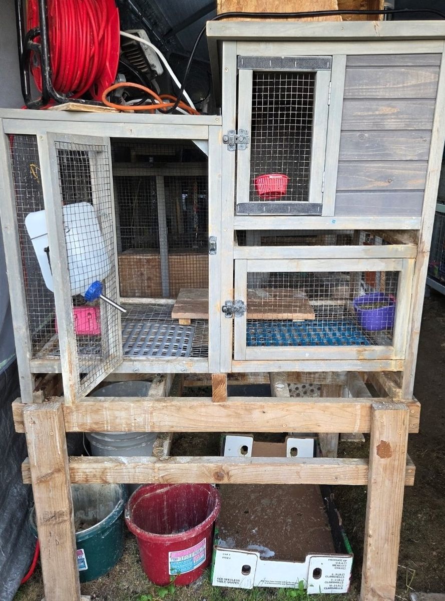 Elevated Rabbit Hutches or Cages