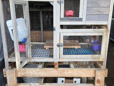 Elevated Rabbit Hutches or Cages