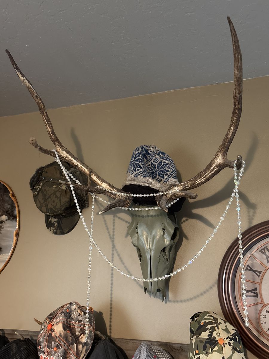 Raghorn elk decor 
