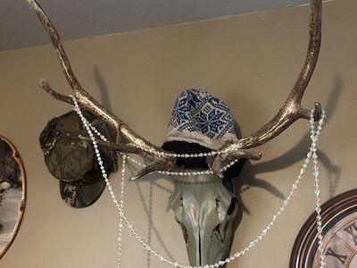 Raghorn elk decor