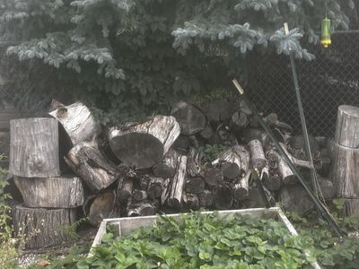 Free wood