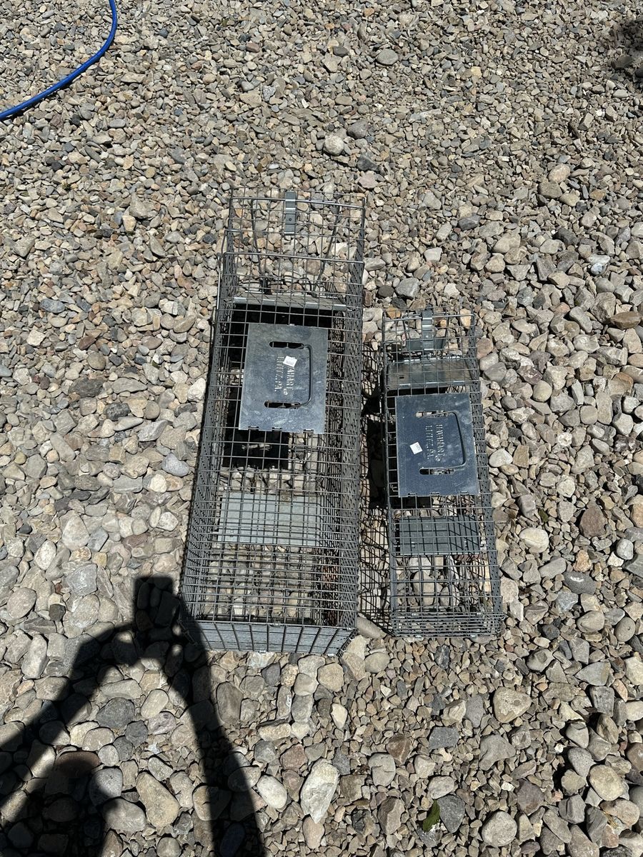 Live catch animal traps