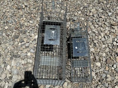 Live catch animal traps