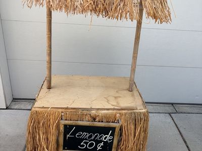 Pottery Barn Kids Tiki Hut Lemonade Stand