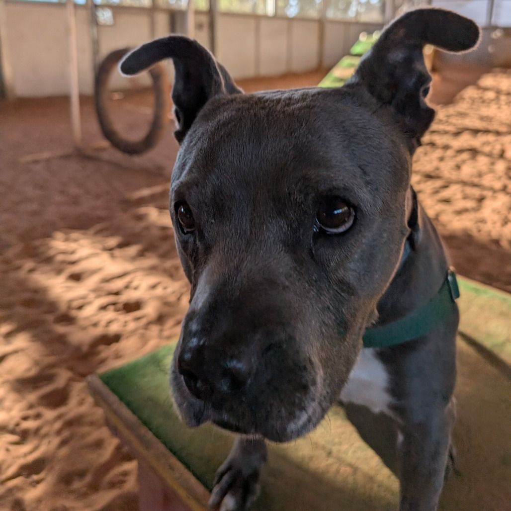 Hello my name is Pearl