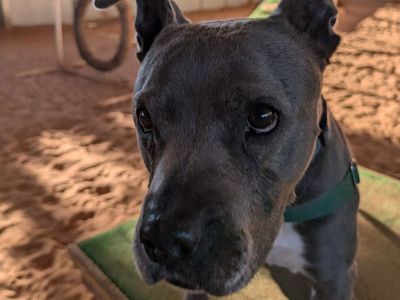 Hello my name is Pearl