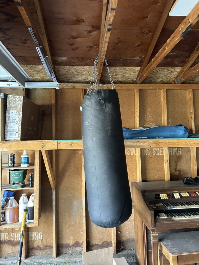 100 Pound punching Bag & Gloves