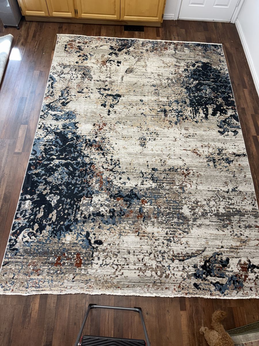 Jaipur Living Tundra Area Rug 7’10” x 10’10” – Like New