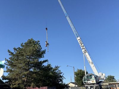 Eco-Mex LLC Tree Service | Tree Removal & Trimming | Free Estimates