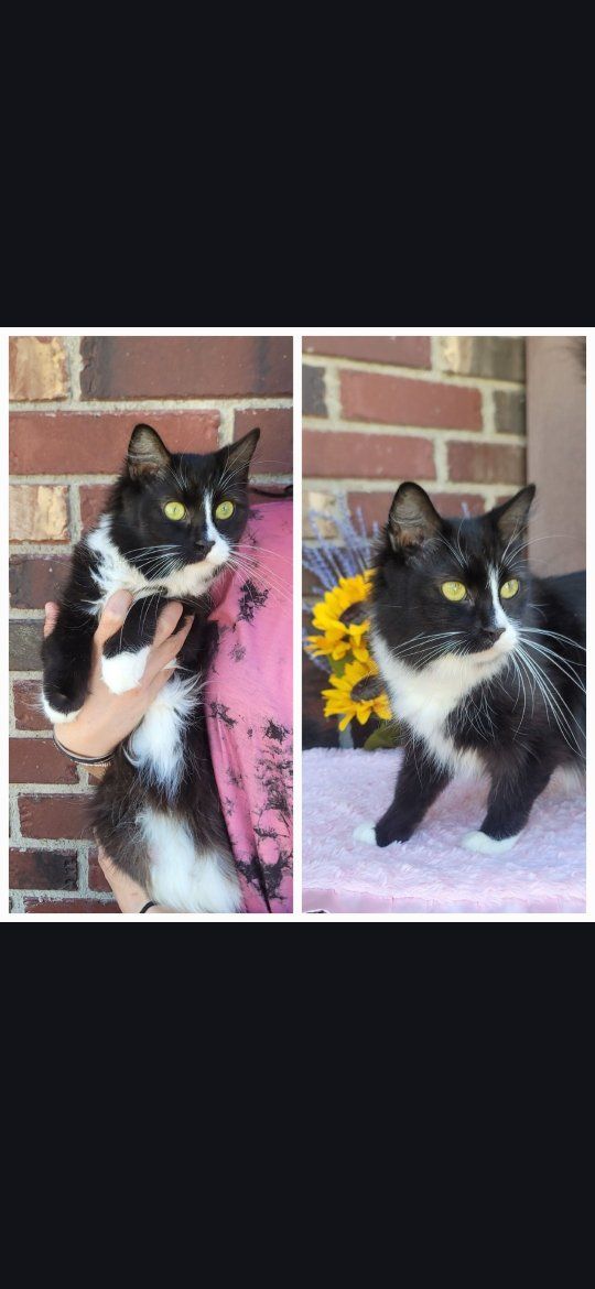Meet Flower — Now It’s Her Turn to Be Someone’s Baby