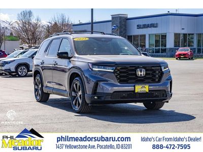 2025 HONDA PILOT Black Edition