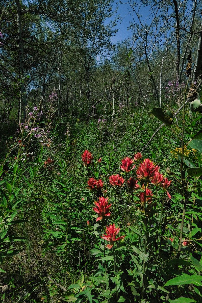 Main image 5