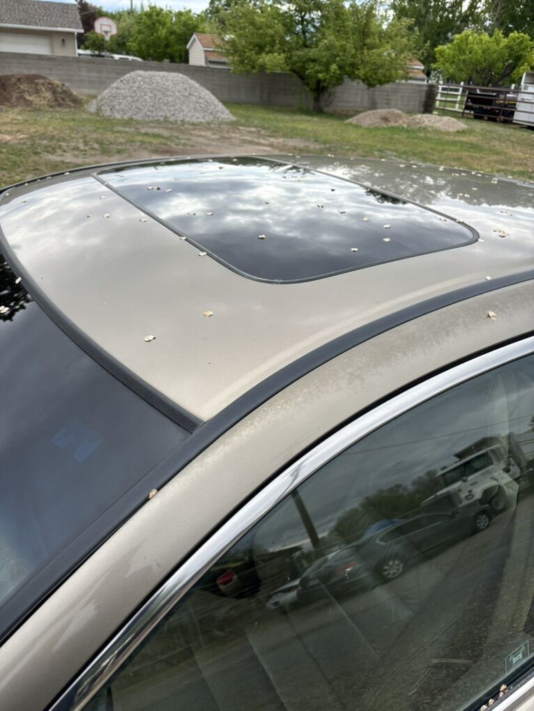 Main image 4