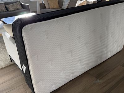 Firm Twin Xl Mattress (plank)