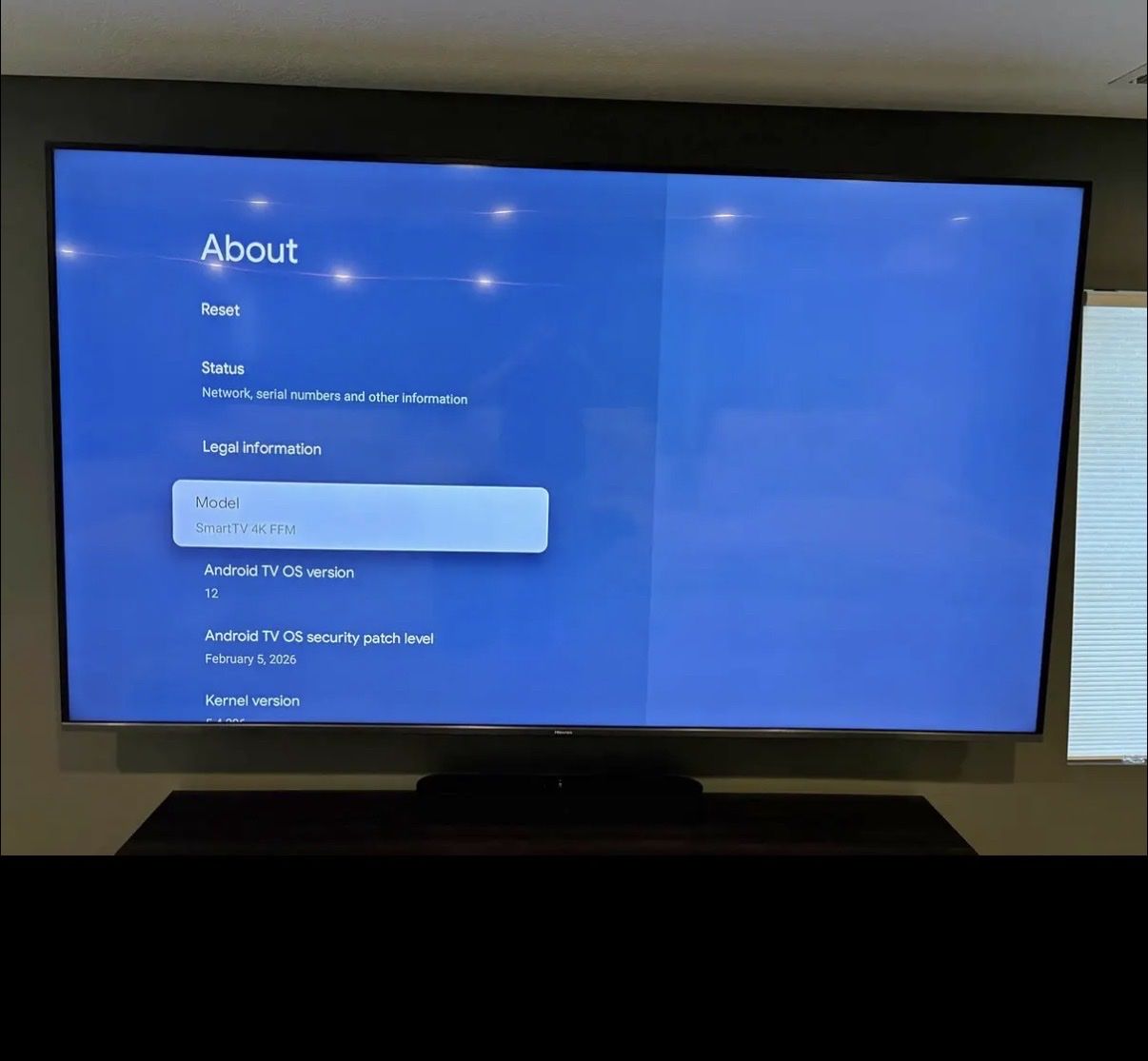 Hisense 100” TV