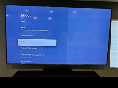 Hisense 100” TV