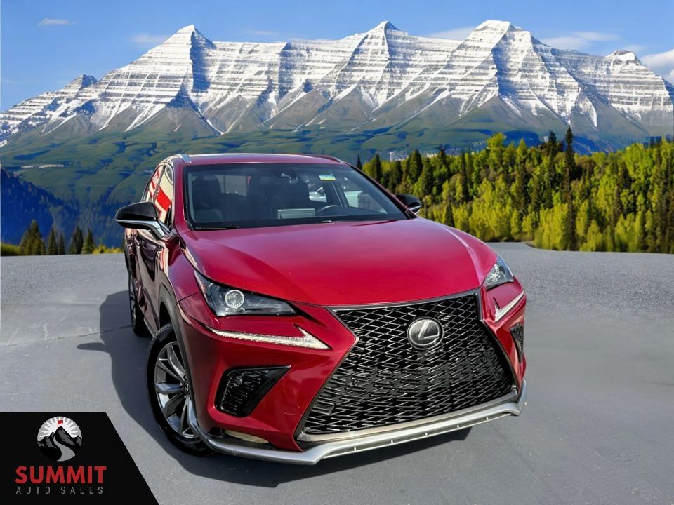 2019 Lexus NX 300 F SPORT