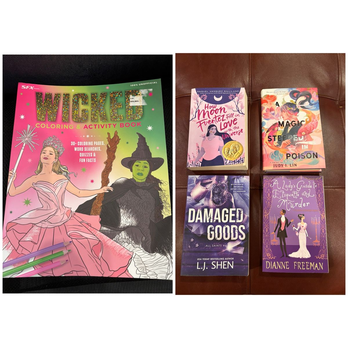 Wicked Activity Book Brand New/Assorted Romance Novels $5 Each