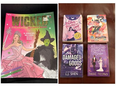 Wicked Activity Book Brand New/Assorted Romance Novels $5 Each