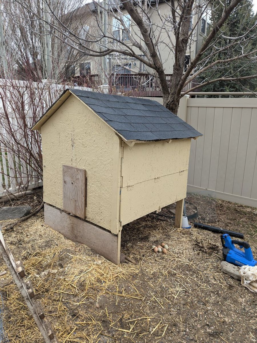 Chicken Coop and Feeders