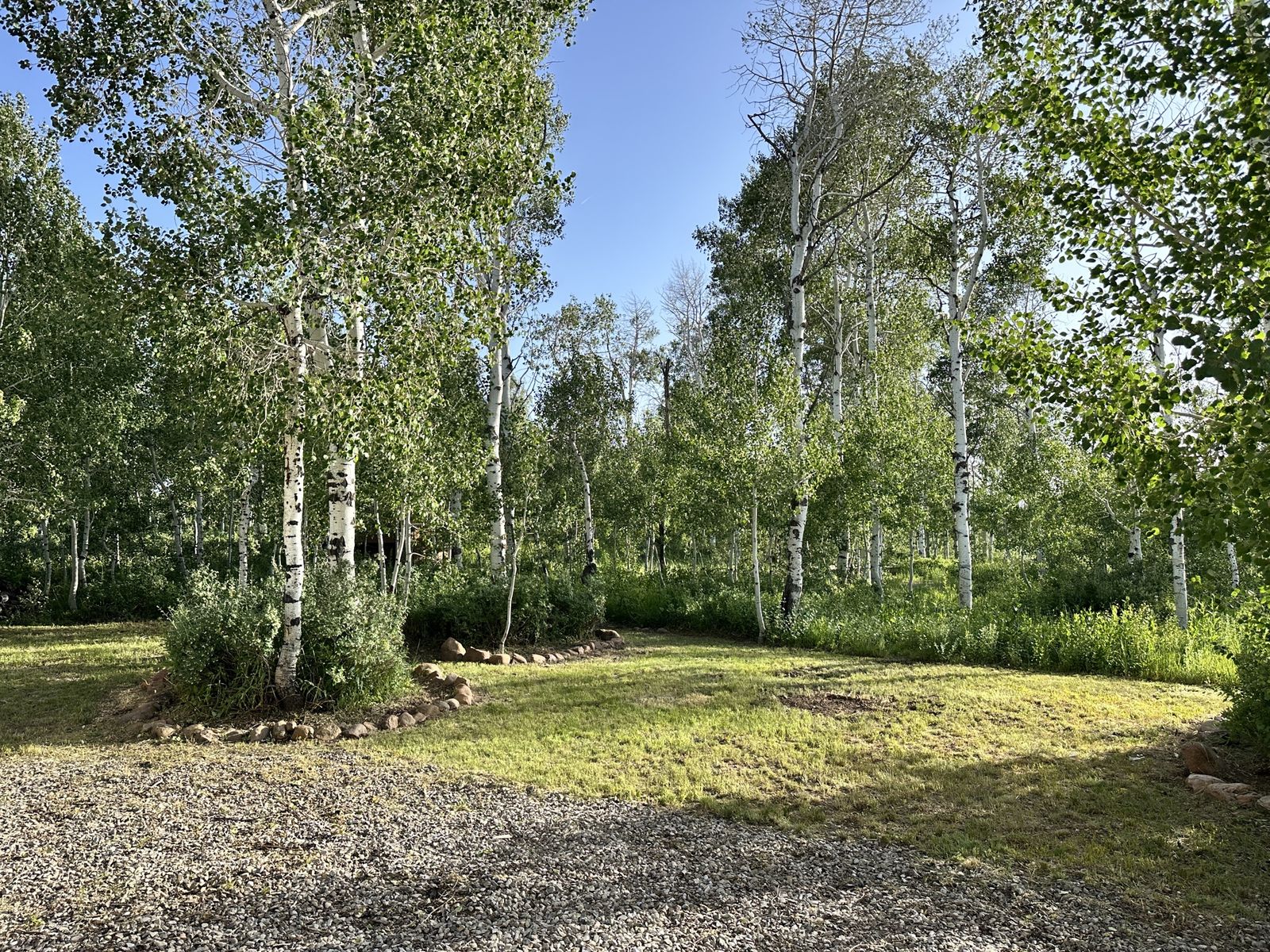 Majestic 8 Lot – Sourdough Wilderness Ranch