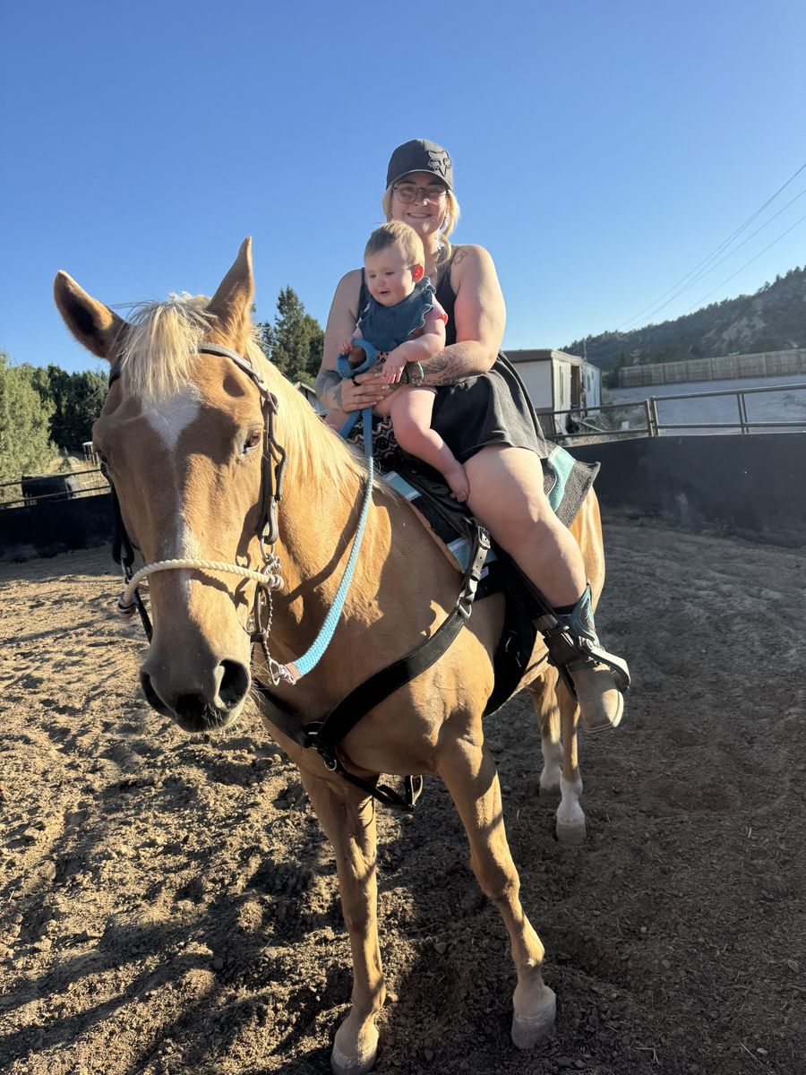 Palomino Riding Horse
