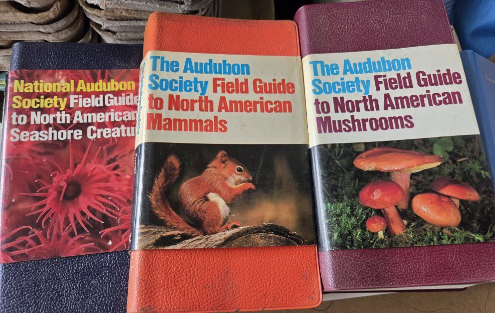 Audubon Society Field Guide Set - Mammals, Mushrooms, Seashore Creatures
