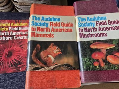 Audubon Society Field Guide Set - Mammals, Mushrooms, Seashore Creatures
