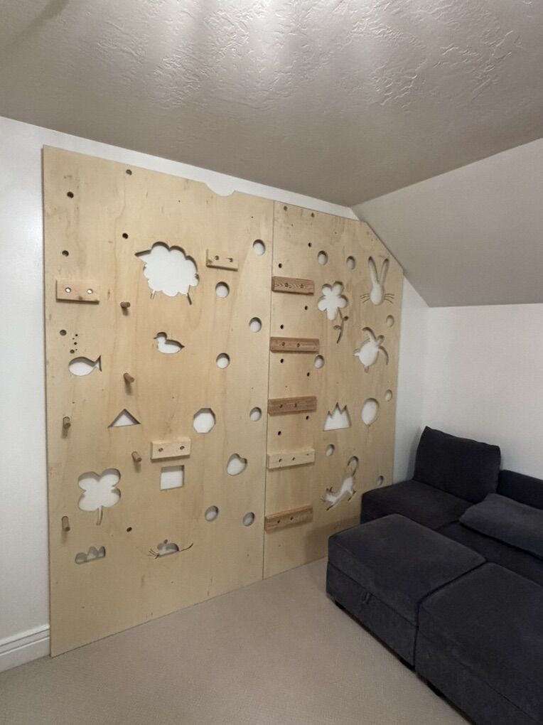 Kids Custom Climbing Wall