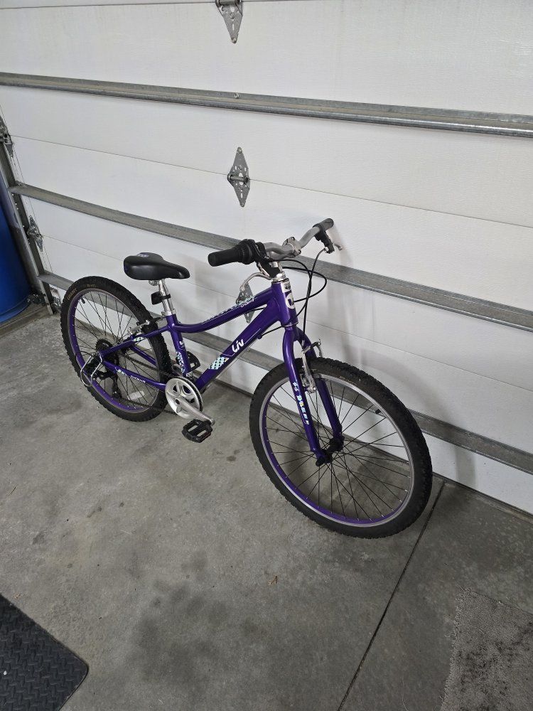 Giant Liv Enchant Purple Kids 24" wheeled Mountain Bike - Handcrafted Allux Aluminum Frame, Good Condition just tuned up