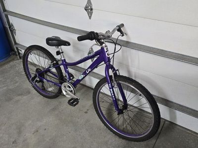 Giant Liv Enchant Purple Kids 24" wheeled Mountain Bike - Handcrafted Allux Aluminum Frame, Good Condition just tuned up