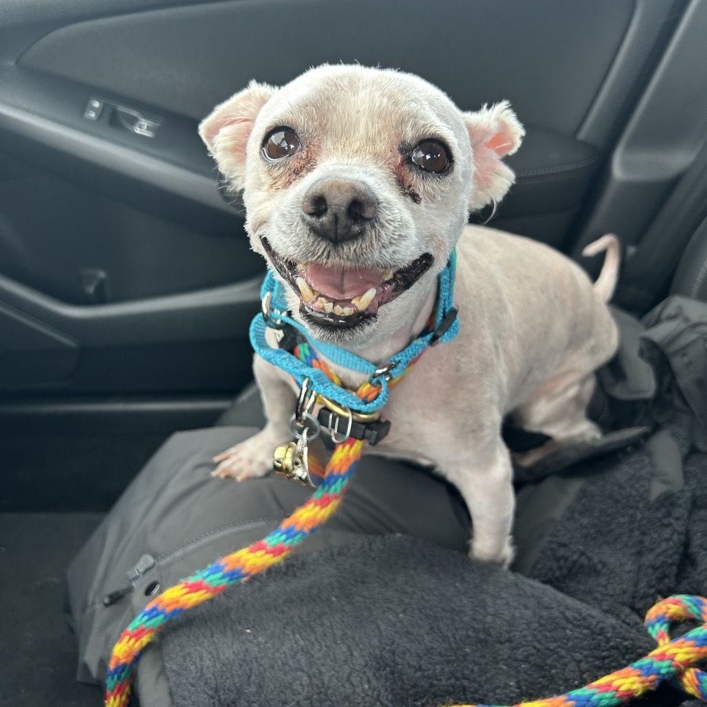 Hello my name is Silas